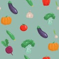 Seamless pattern with hand drawn colorful vegetables. Sketch style vector set. Vegetables flat icons set: cucumber Royalty Free Stock Photo
