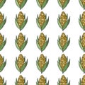 Seamless pattern with hand drawn corn cobs. Light background for your kitchen. Vegetable background. Royalty Free Stock Photo