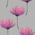 Seamless pattern with hand drawn cosmea flowers