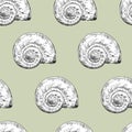 Seamless pattern hand drawn curled shellvector illustration Royalty Free Stock Photo