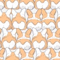 Seamless pattern with hand drawn dogs breed welsh corgi pembroke. Cartoon background