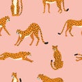 Seamless pattern with hand drawn exotic big cat cheetahs, stretching, running, sitting and walking on pink background