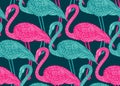 Seamless pattern with hand drawn flamingo birds in doodle style. Royalty Free Stock Photo