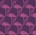 Seamless pattern with hand drawn flamingo birds in doodle style. Royalty Free Stock Photo