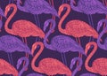 Seamless pattern with hand drawn flamingo birds in doodle style. Royalty Free Stock Photo