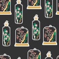 Seamless pattern with hand drawn floral terrariums