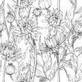 Seamless pattern with hand drawn gerbera flowers and brunchs