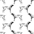 Seamless pattern with hand drawn German Shorthaired Pointers