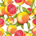 Seamless pattern of hand drawn grapefruit