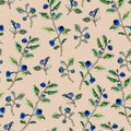 Seamless pattern hand-drawn graphic watercolor sketchy blueberry twigs with leaves and berries on a cream brown