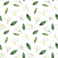 Seamless pattern with hand drawn green leaves and lemon lime flowers