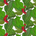 Seamless pattern with hand drawn guelder rose branches