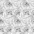 Seamless pattern with hand drawn guelder rose branches