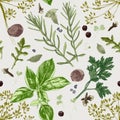 Seamless pattern with herbs and spices Royalty Free Stock Photo
