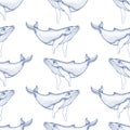 Seamless pattern with Hand drawn humpback whales. Vector with animal underwater. Illustration for wallpaper, web page background,