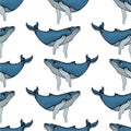 Seamless pattern with Hand drawn humpback whales. Vector with animal underwater. Illustration for wallpaper, web page background, Royalty Free Stock Photo