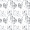 Seamless pattern with hand drawn insects on white background.Fly, moth, butterfly. Nature illustration print, texture Royalty Free Stock Photo