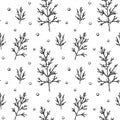 Seamless pattern with hand drawn juniper branches and berries isolated on white background. Vector illustration in vintage sketch Royalty Free Stock Photo