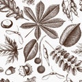 Seamless pattern with hand drawn leaves and seeds illustration. Vector autumn background. Vintage botanical design Royalty Free Stock Photo