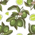 Seamless pattern with hand drawn lime branches, halfs and slices