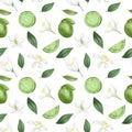 Seamless pattern with hand drawn limes green lemons and lime flowers