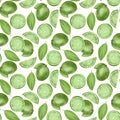 Seamless pattern with hand drawn limes Royalty Free Stock Photo