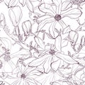 Seamless pattern with hand drawn line violet magnolia flower. Vector illustration Royalty Free Stock Photo