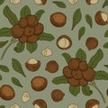 Seamless pattern with macadamia