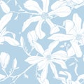 Seamless pattern with hand drawn magnolia flower. Vector illustration Royalty Free Stock Photo
