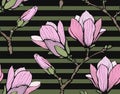 Seamless pattern with hand drawn magnolia flower. Vector illustration. Botanical pattern for textiles and wallpapers Royalty Free Stock Photo