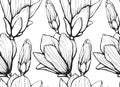 Seamless pattern with hand drawn magnolia flower. Vector illustration. Botanical pattern for textiles and wallpapers Royalty Free Stock Photo