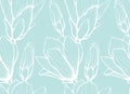 Seamless pattern with hand drawn magnolia flower. Vector illustration. Botanical pattern for textiles and wallpapers Royalty Free Stock Photo