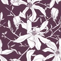 Seamless pattern with hand drawn magnolia flower. Vector illustration. Royalty Free Stock Photo