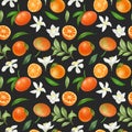 Seamless pattern with hand drawn mandarins and mandarin flowers