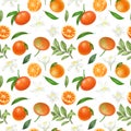 Seamless pattern with hand drawn mandarins and mandarin flowers