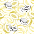 Seamless pattern with hand drawn melon. Sketch yellow melon slices. Tasty tropical fruit. Summer background.