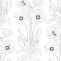 Seamless pattern with hand drawn monochrome poppy flowers on white background. Vector illustration Royalty Free Stock Photo