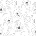 Seamless pattern with hand drawn monochrome poppy flowers on white background. Vector illustration Royalty Free Stock Photo