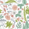 Seamless pattern with hand drawn pastel aloe, calendula, lily of the valley, nettle, strawberry, valerian Royalty Free Stock Photo