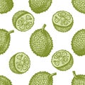 Seamless pattern with hand drawn pastel jackfruit Royalty Free Stock Photo
