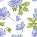 Seamless pattern with hand drawn pastel meadow geranium