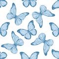 Seamless pattern with hand drawn pastel menelaus blue morpho, blue morpho