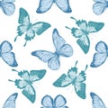 Seamless pattern with hand drawn pastel papilio ulysses, morpho menelaus, morpho rhetenor cacica