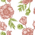 Seamless pattern with hand drawn pastel poppy flower Royalty Free Stock Photo