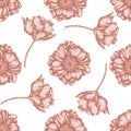 Seamless pattern with hand drawn pastel poppy flower Royalty Free Stock Photo