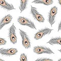 Seamless pattern with hand drawn peacock feathers Royalty Free Stock Photo