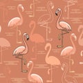 Seamless pattern of hand drawn pink flamingo birds. Royalty Free Stock Photo