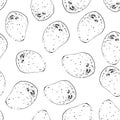 Seamless pattern Hand Drawn potato doodle. Sketch style icon. Decoration element. Isolated on white background. Flat design. Royalty Free Stock Photo