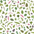 Seamless pattern. Hand drawn rainbow chard micro greens. Microgreen chard, radish, beet,carrot, cabbage. Vector illustration in