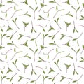 Seamless pattern. Hand drawn rainbow chard micro greens. chard. Vector illustration in sketch style on white background. Vitamin